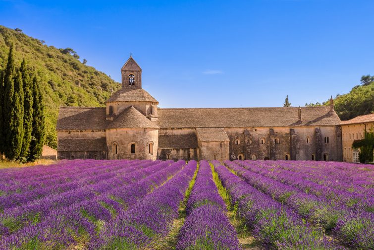 Abbaye Notre-Dame de Sénanque 1