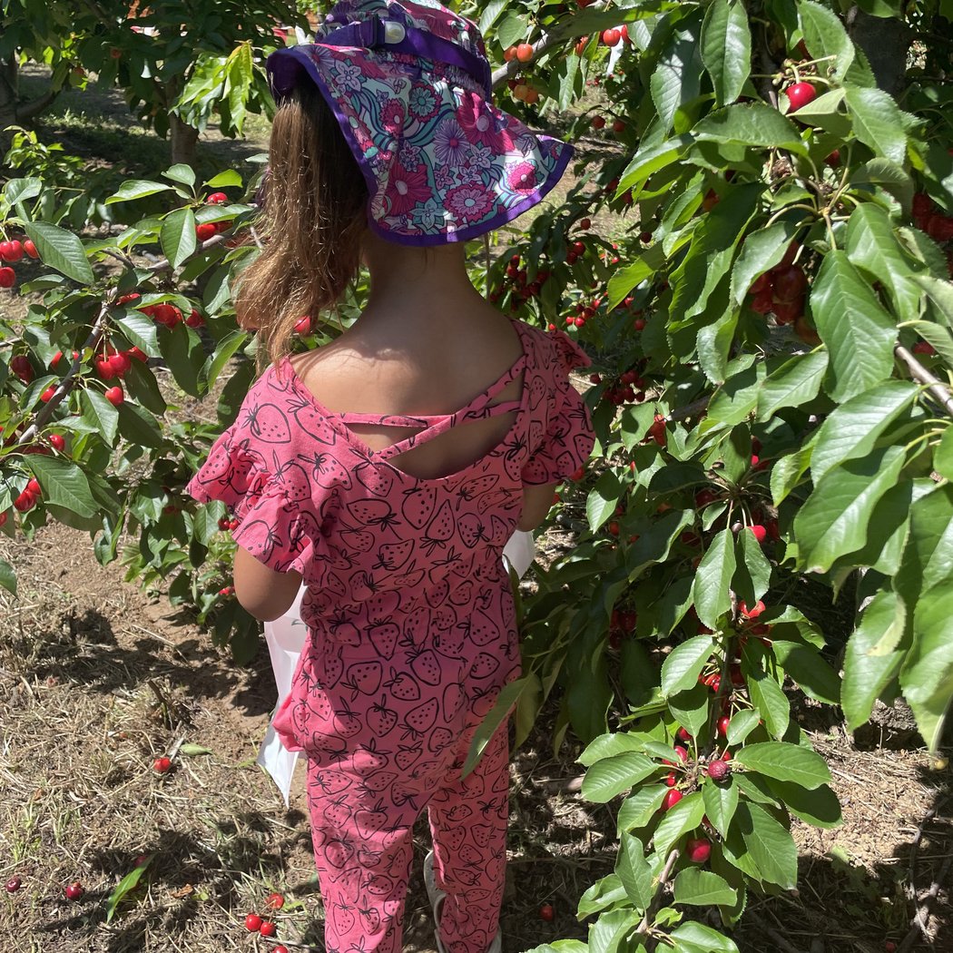 Dwelley Family Farms 3