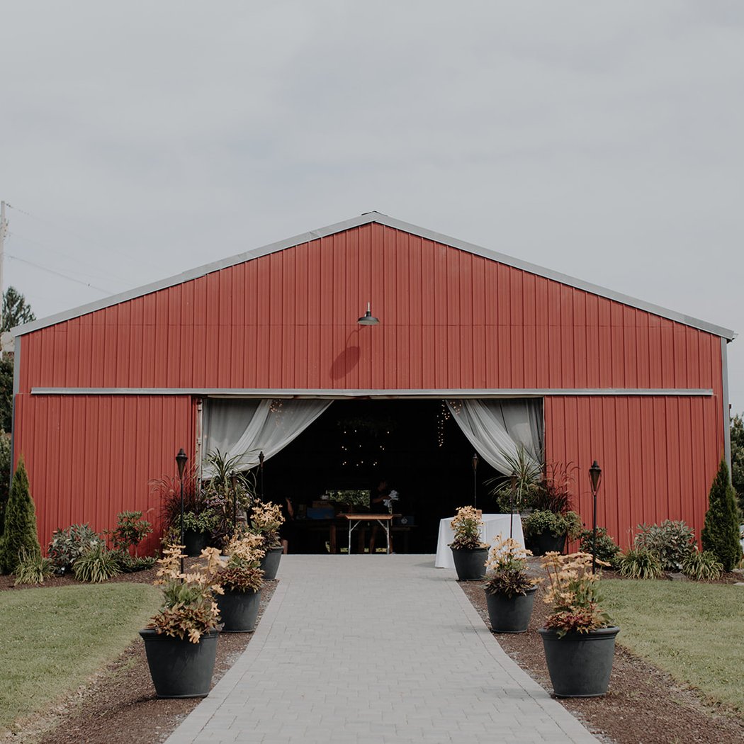 Nostrano Vineyards 2