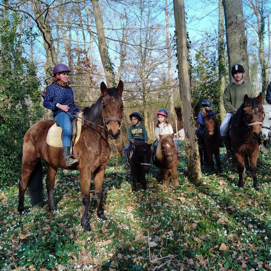 Les Poneys D'abord 2