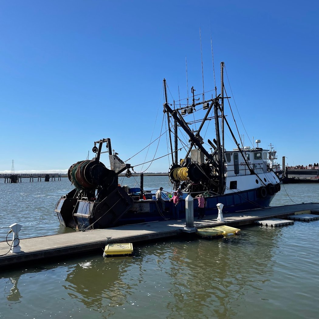 Pioneer Seafoods 3