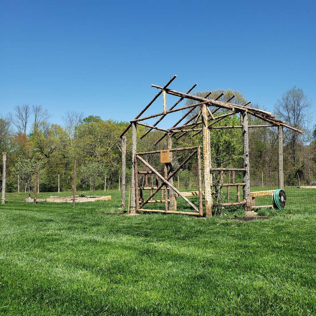 WoodFest 1