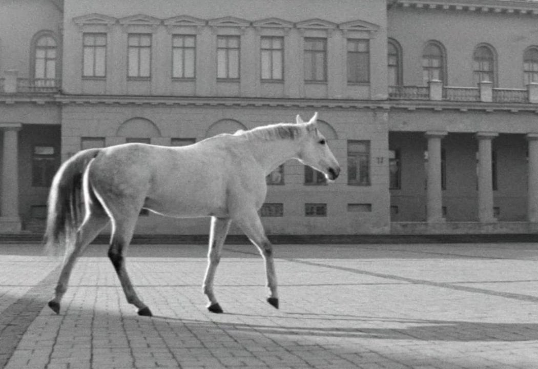 Vilnius, une muse 1