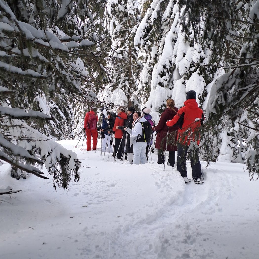 Evolution 2 Morzine 1