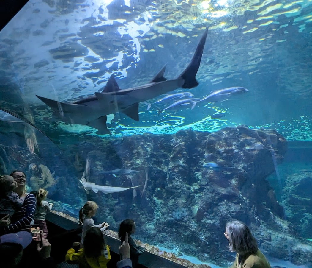 Oceanopolis 2