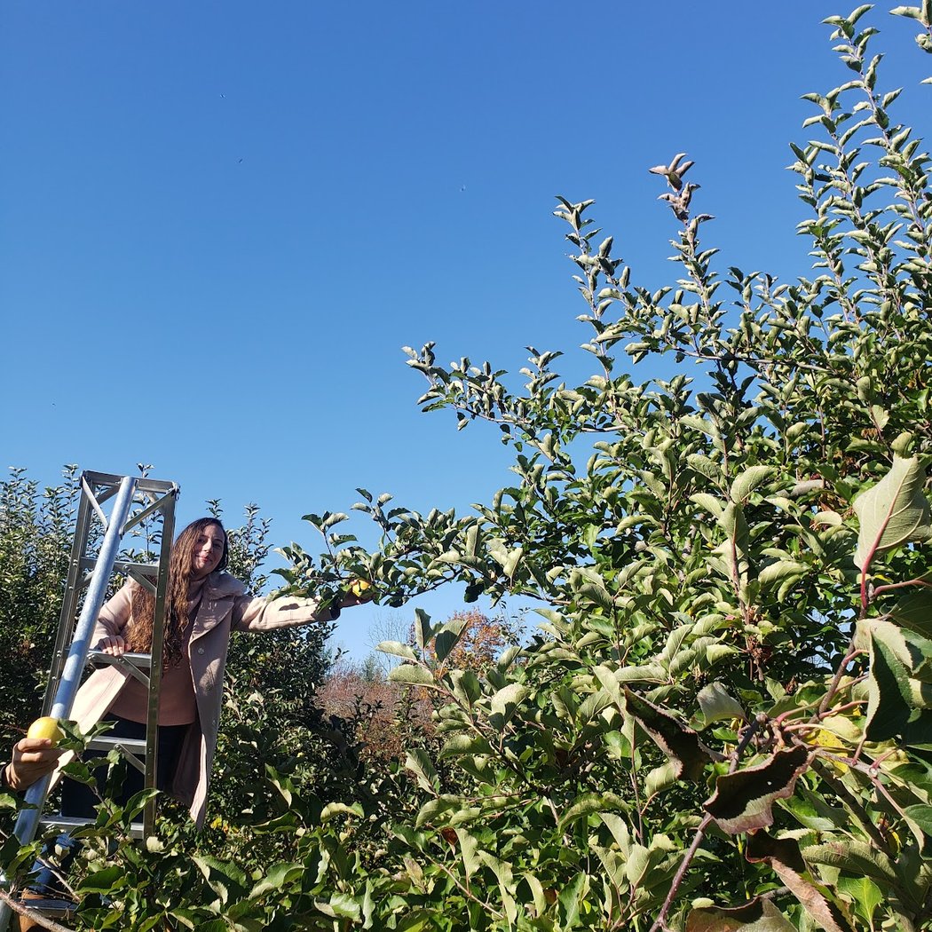Sleepy Hills Orchard 3