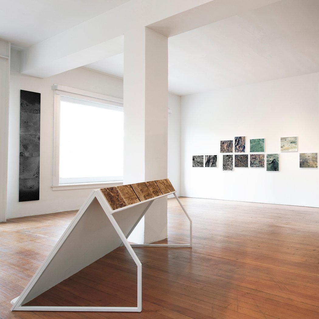 PhotoCarmel 2026: A Celebration of Photography on the Central Coast 4