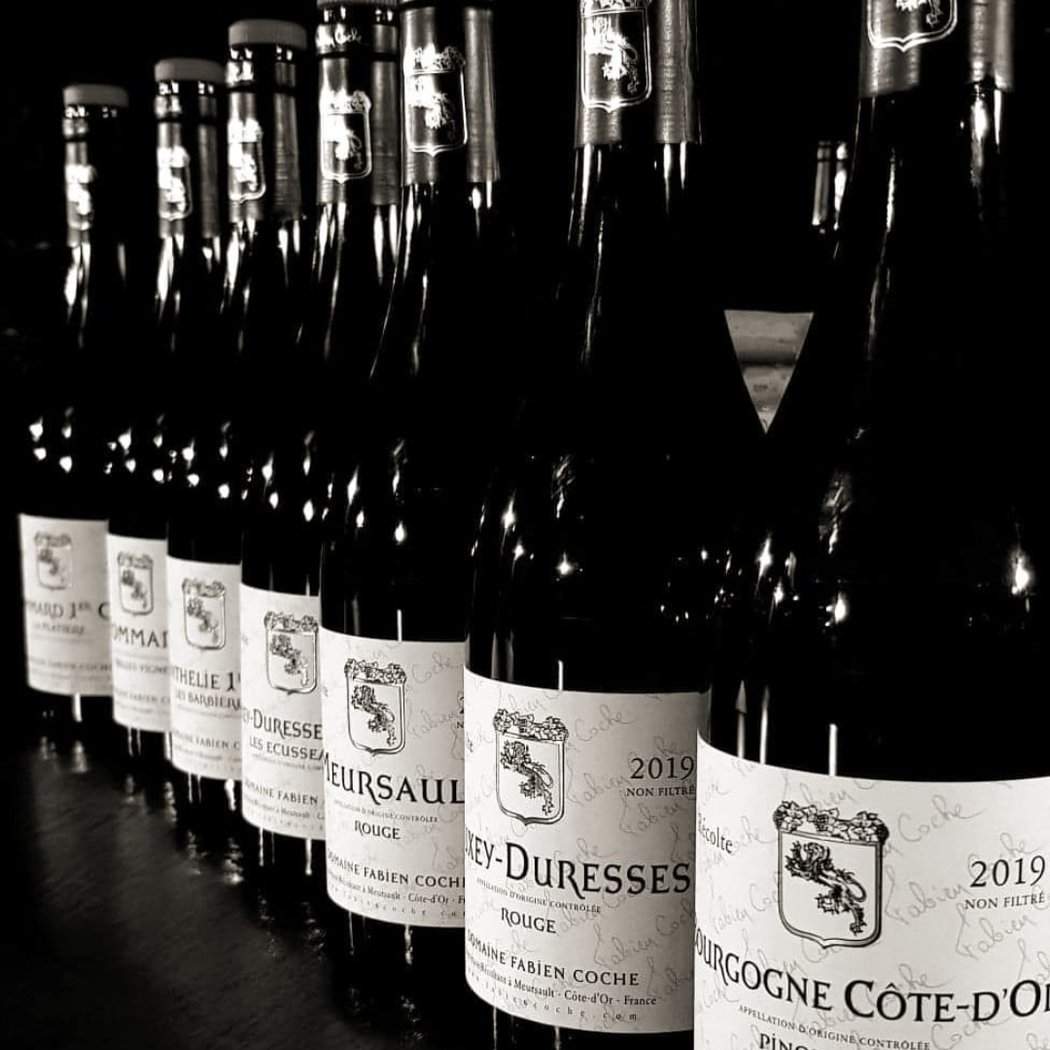 Domaine Fabien Coche Meursault 1