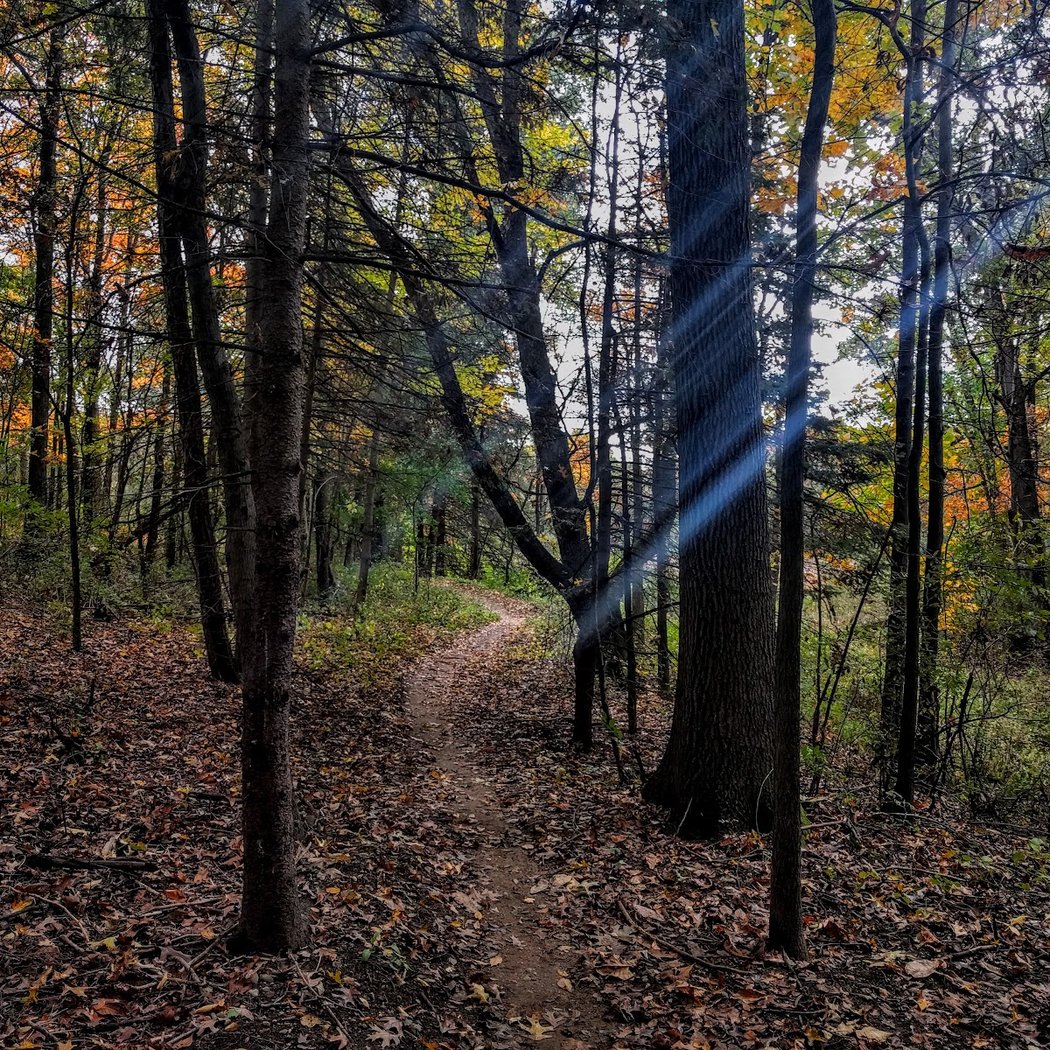 Waterloo State Recreation Area 2