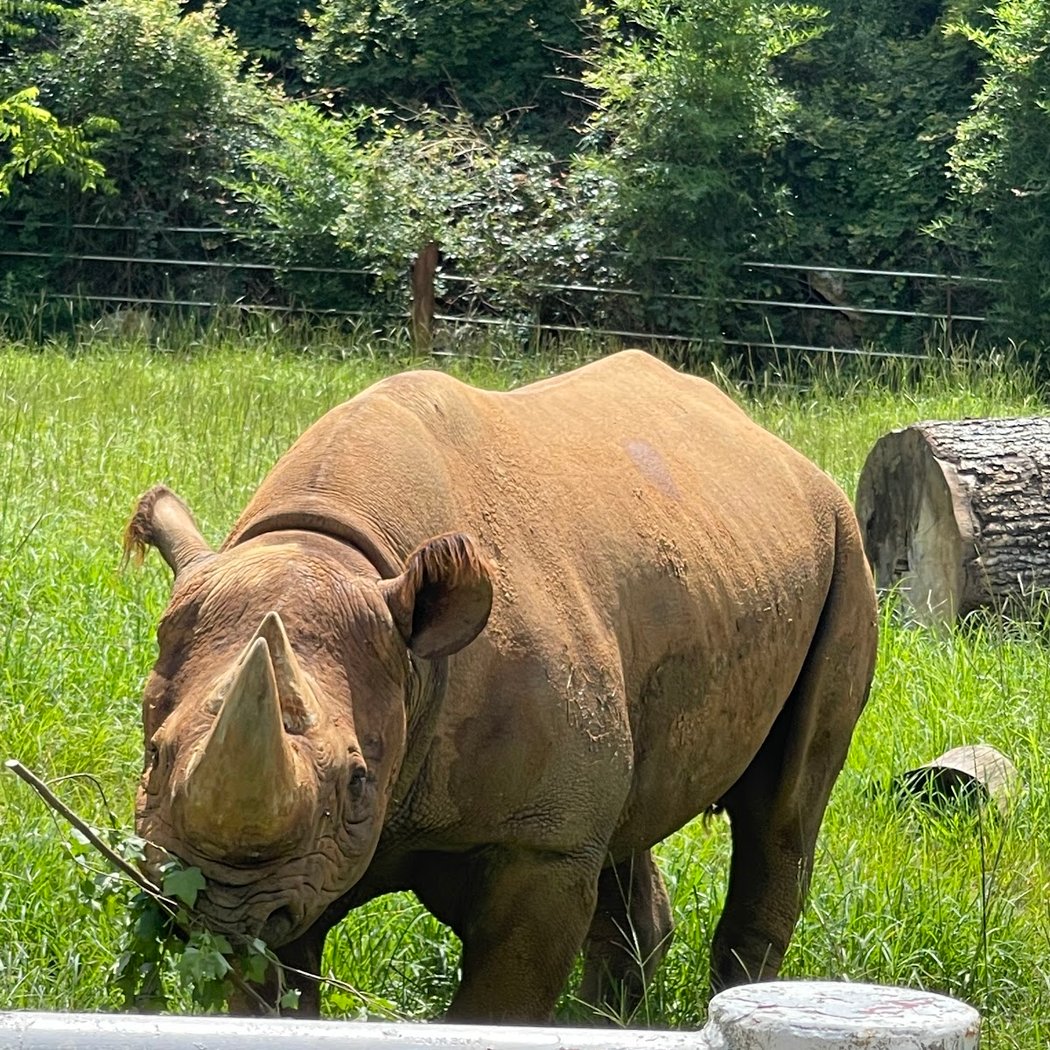 Chehaw Park & Zoo 3