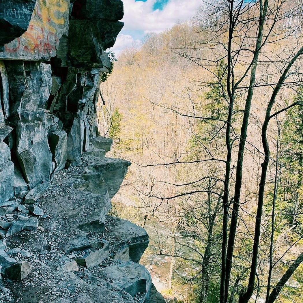 Chittenango Falls 4