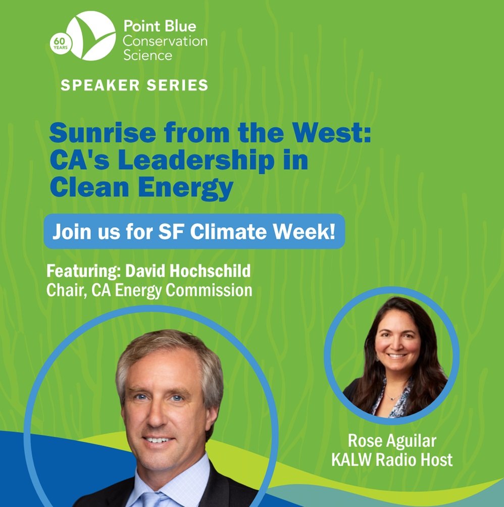 Sunrise From The West: California’s Leadership in Clean Energy 1