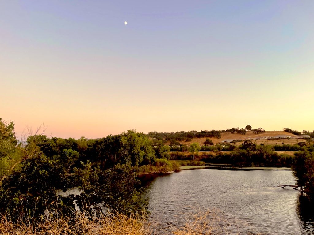 Shadow Cliffs Lake 3