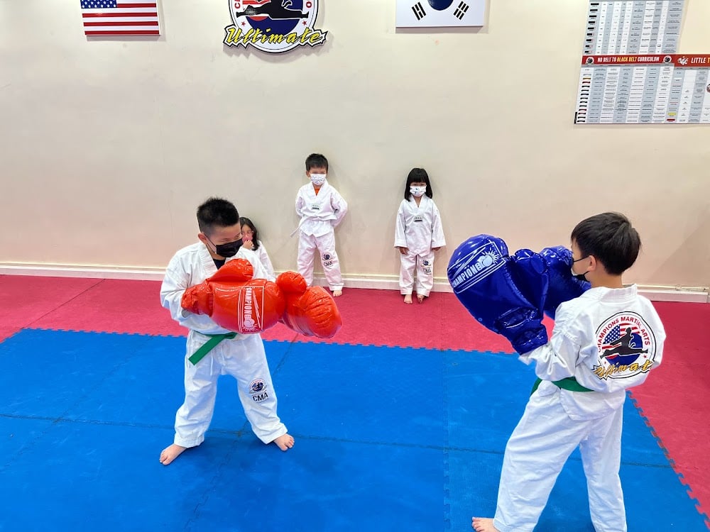Champions Martial Arts 2