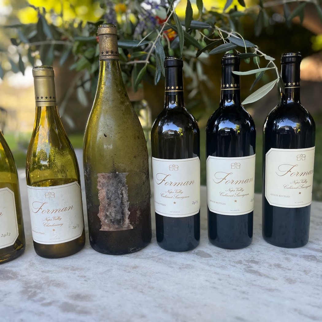 Forman Vineyard 2