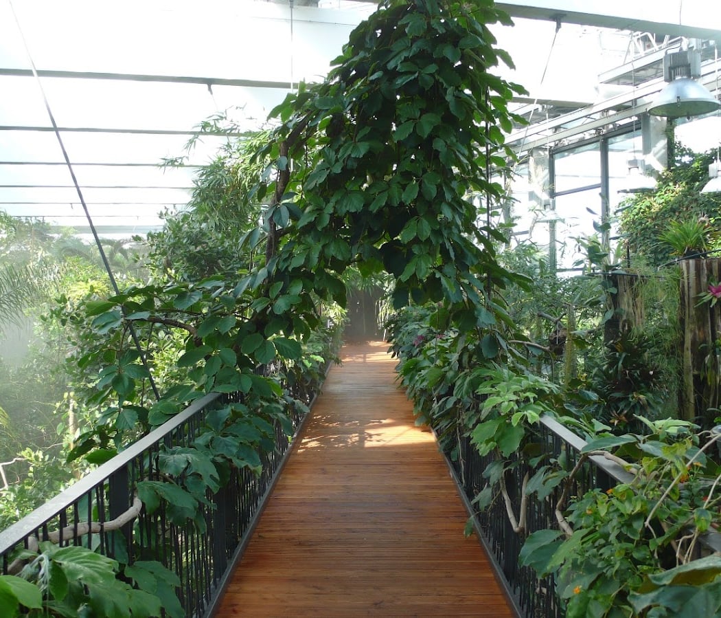 Biosphäre Potsdam 2