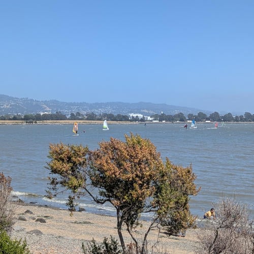 Berkeley Waterfront 2
