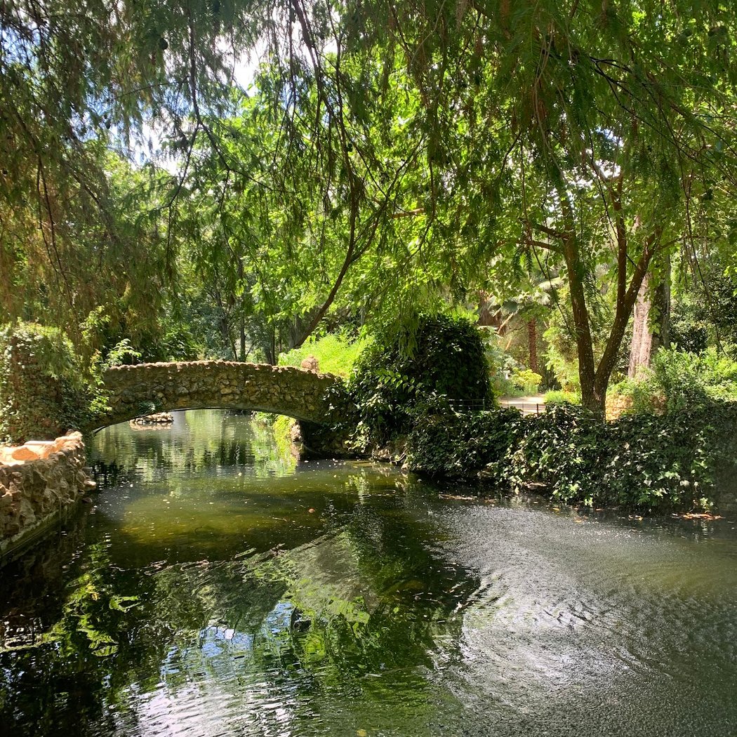 Isleta de los Pájaros 2