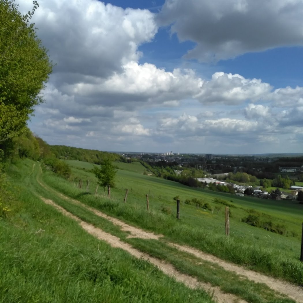 Le Mont-Saint-Adrien 1