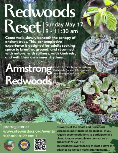 Redwoods Reset 1