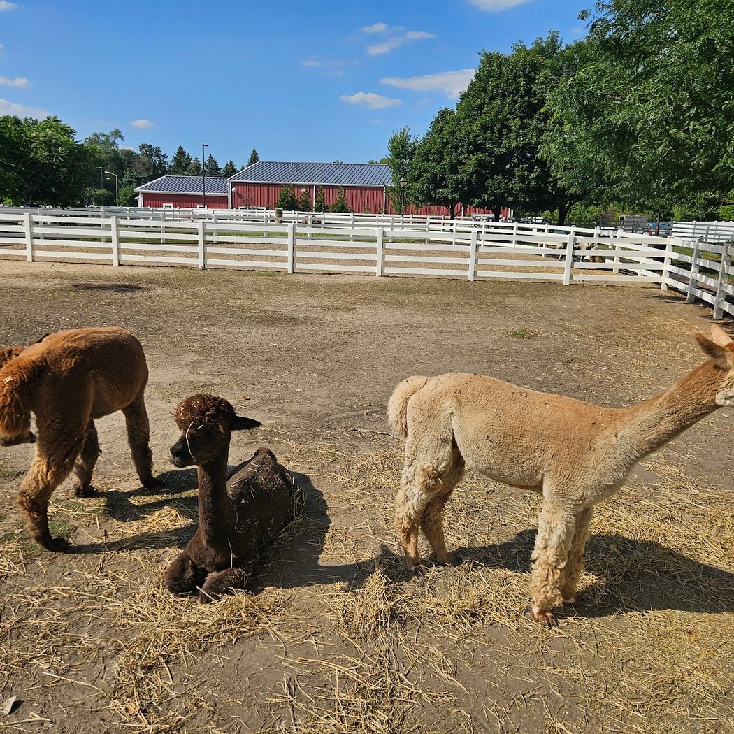 Heritage Park Petting Farm 3