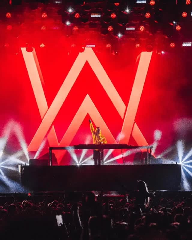 Alan Walker concert