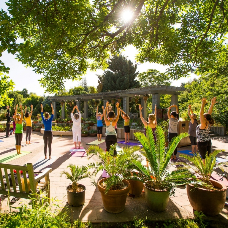 Sunrise Vinyasa Yoga at the Gardens