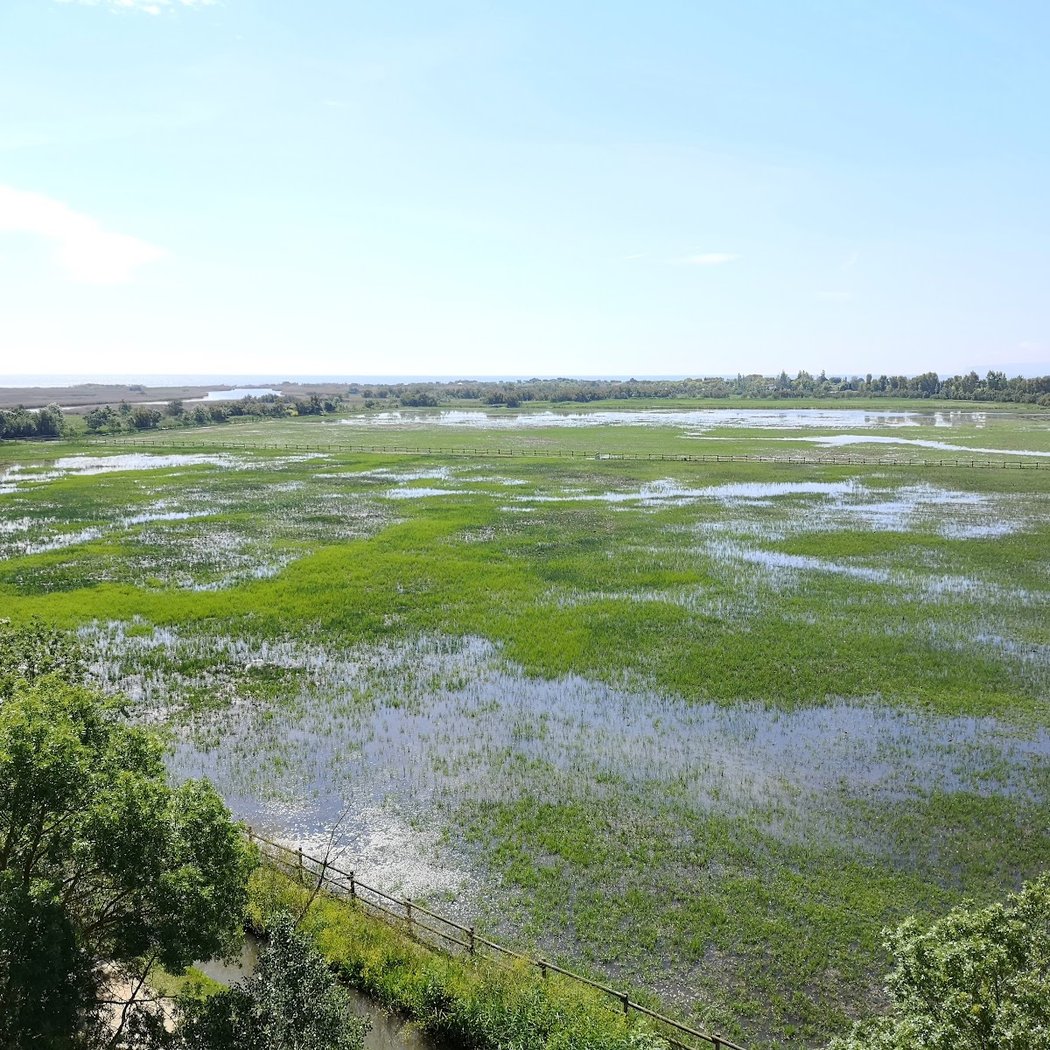 Aiguamolls de l'Empordà 3