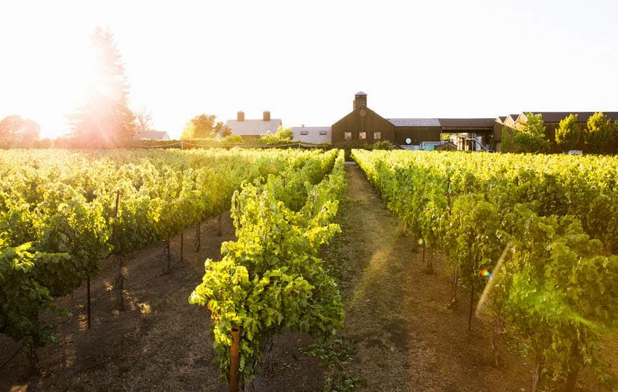 Turnbull Wine Cellars 2
