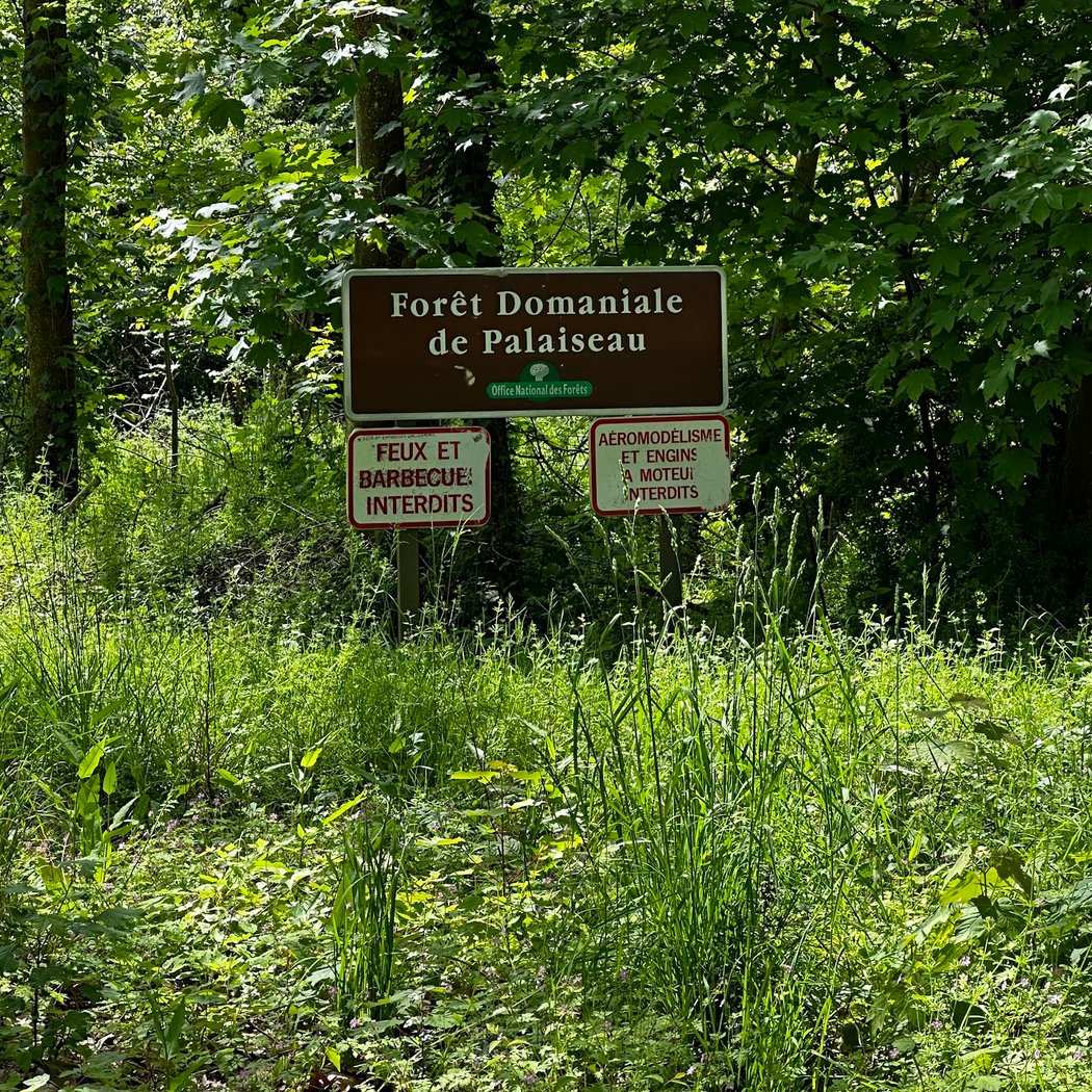 National Forest of Palaiseau 2