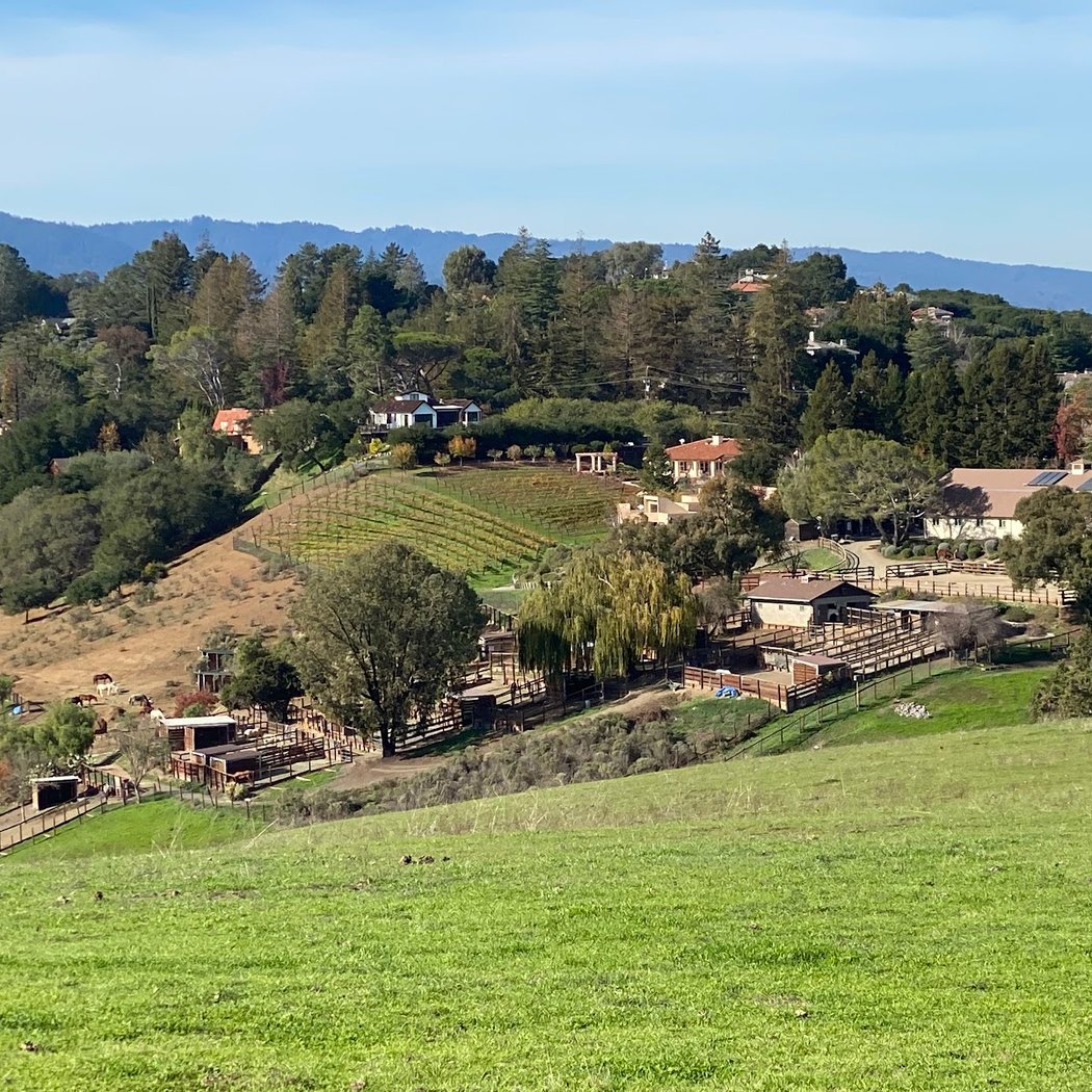 Volunteer Outside with Grassroots Ecology 3