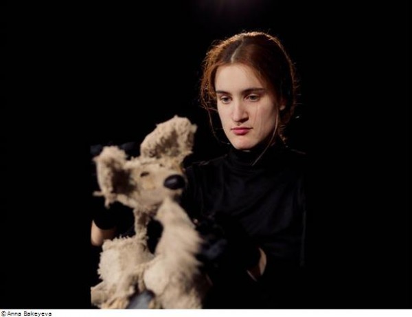 Dialogues with the dog 1