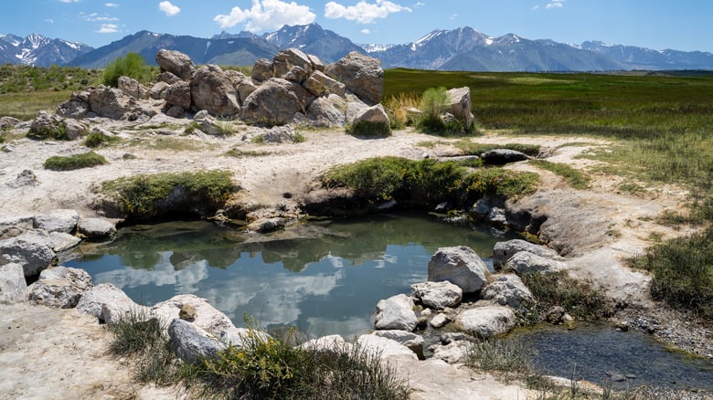 Wild Willy's Hot Spring 2