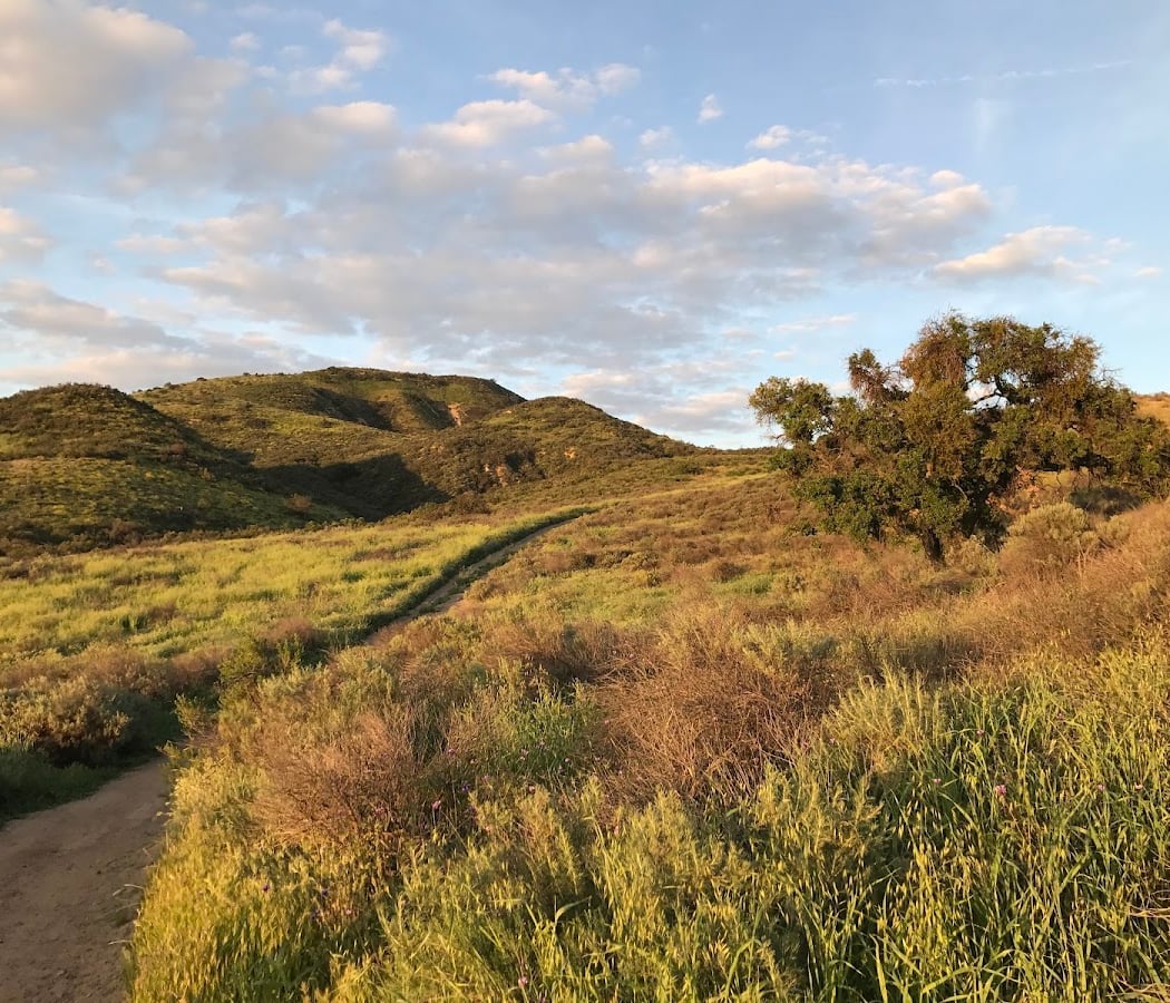 Lang Ranch Open Space 1