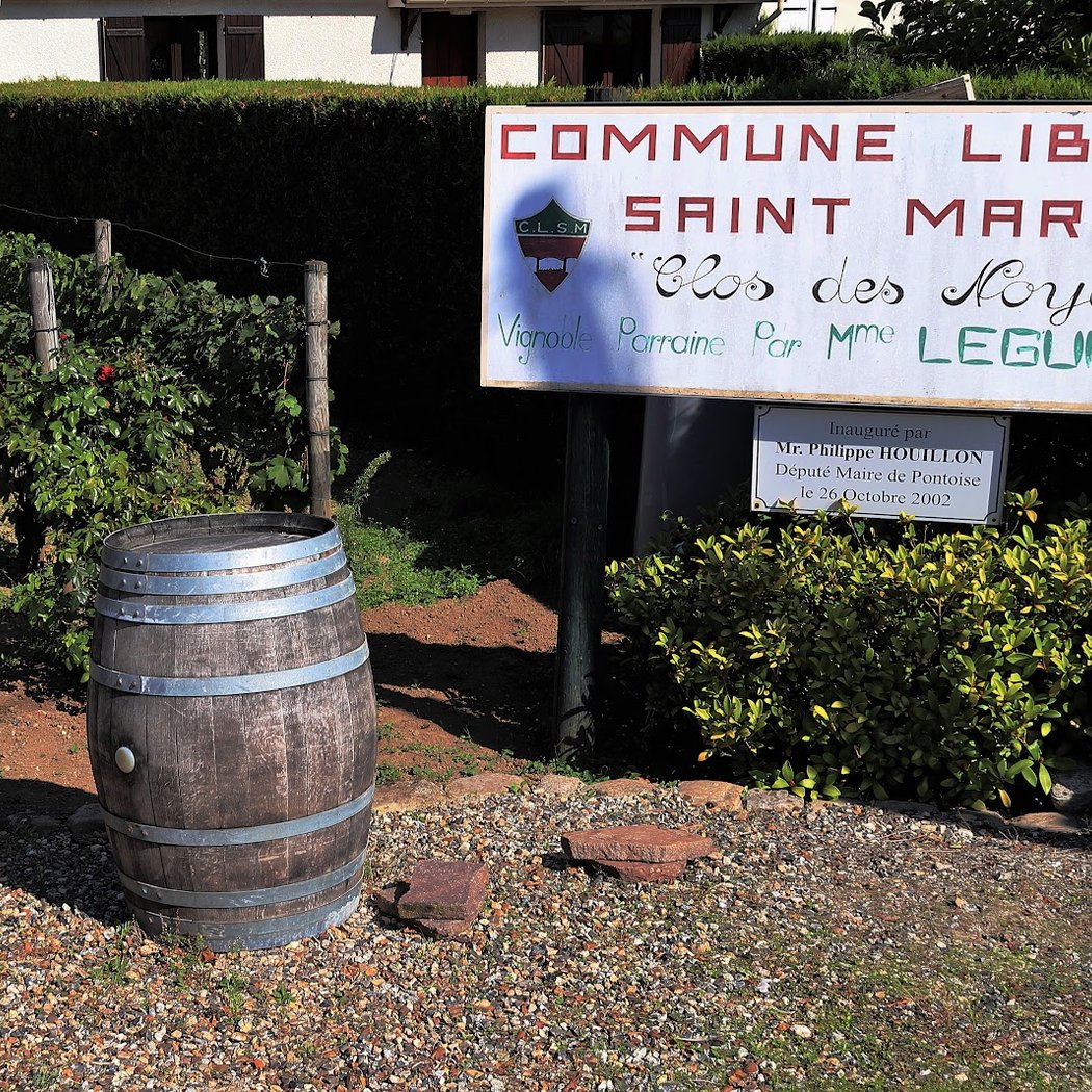 Vignoble de la commune libre Saint-Martin 3