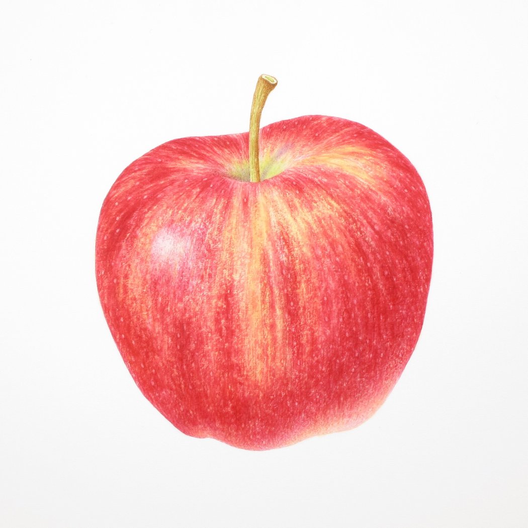 Introduction to Botanical Illustration 1