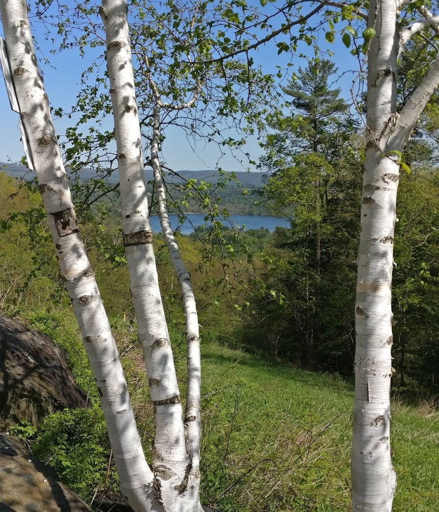 Olivia's Overlook at Yokun Ridge Reserve 3