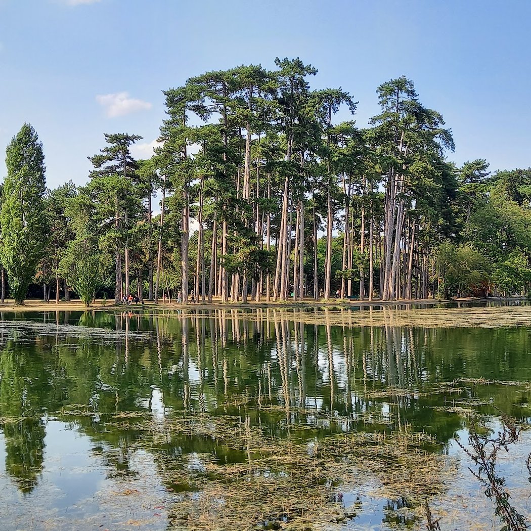 Le 10 km du Bois de Boulogne 2