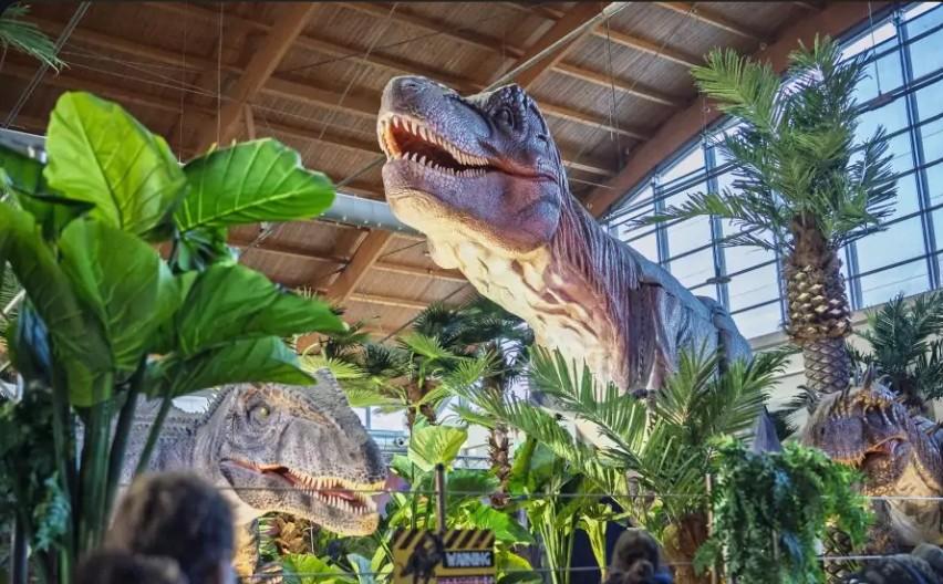 Království dinosaurů