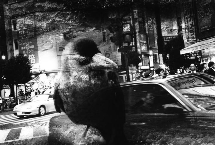 Kosuke: «Warning» 1