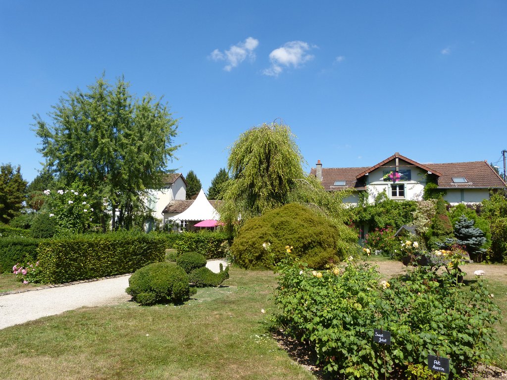 The Rose Garden of Provins 5