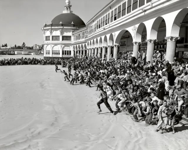 Boardwalk Bunny Hunt 2