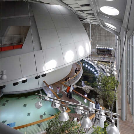 Morrison Planetarium 2