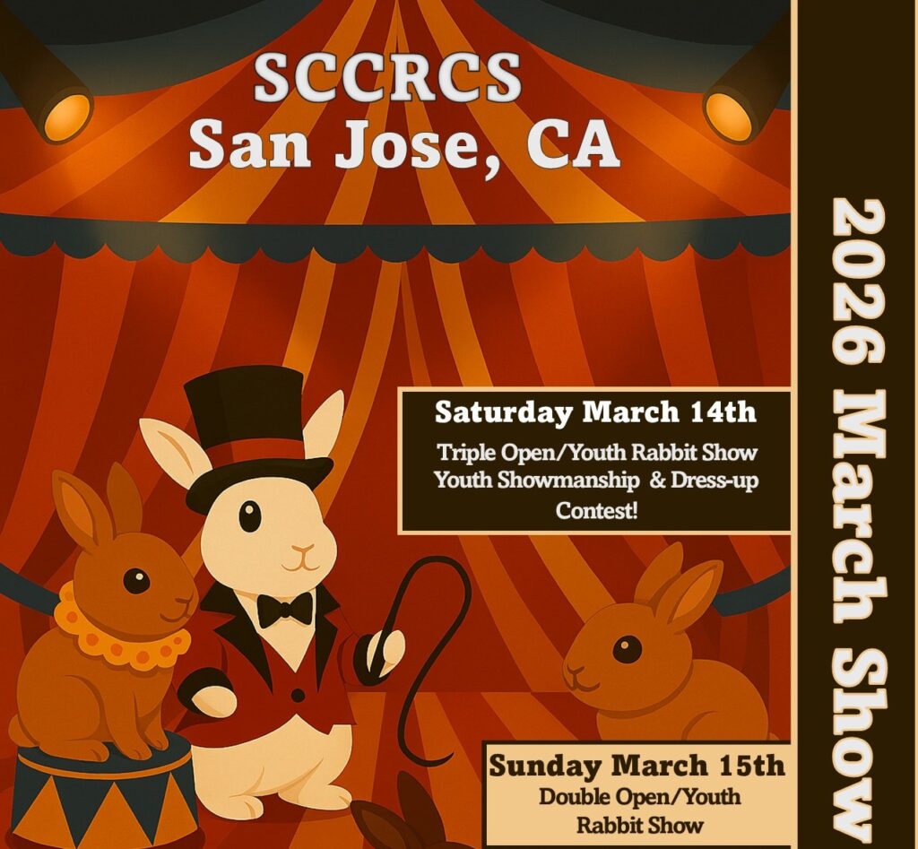 Santa Clara County Rabbit Show 1