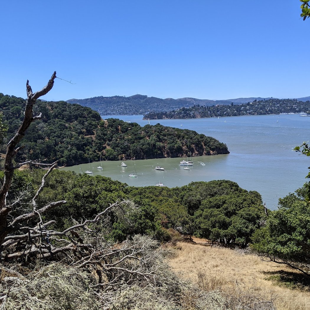 Angel Island - Tiburon Ferry 4