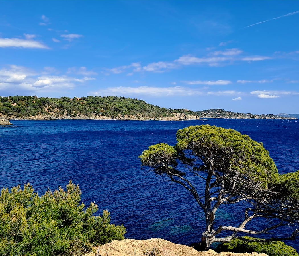 Sentier du littoral Plage de l'Argentière La Londe des Maures / Le fort de Brégançon. 3