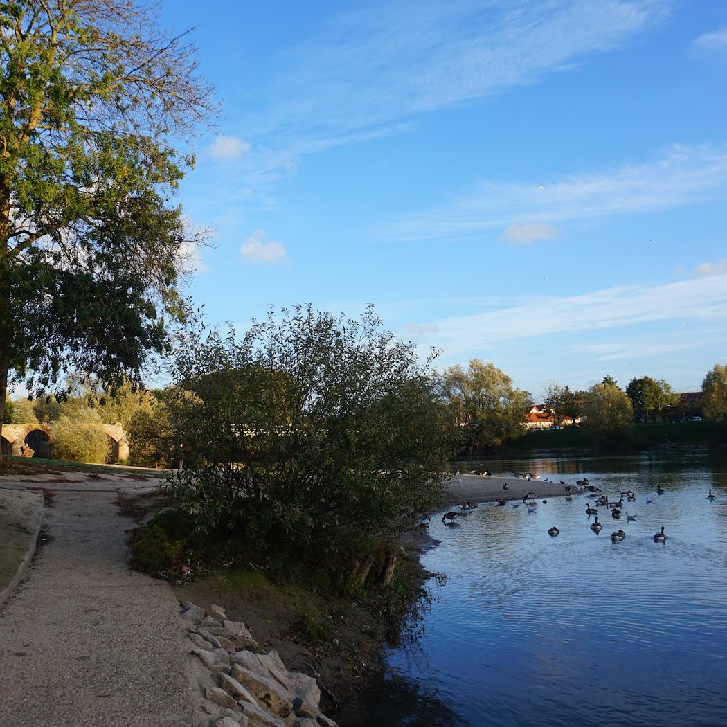 Réserve naturelle régionale des îles de Chelles 3