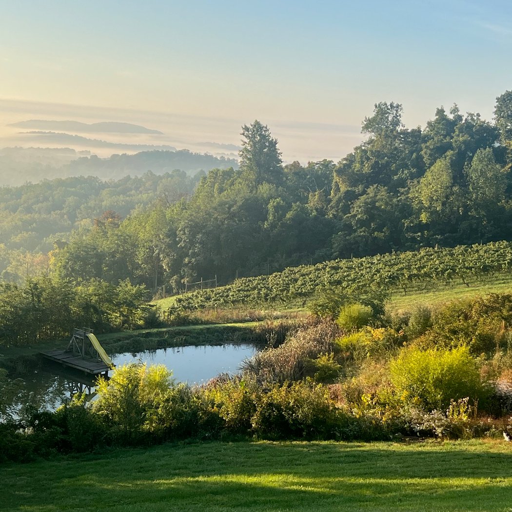 Chester Gap Cellars 3
