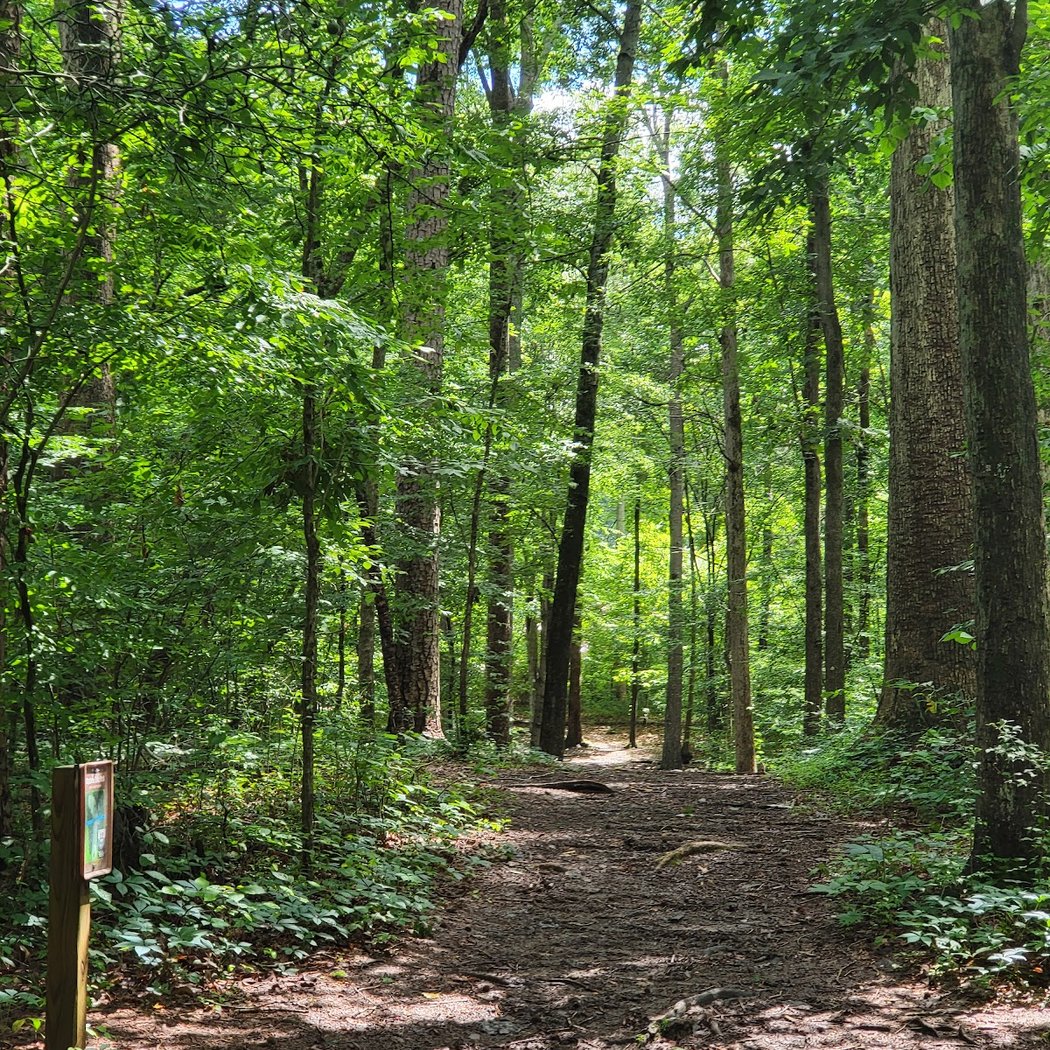Squirrel Lake Park 1