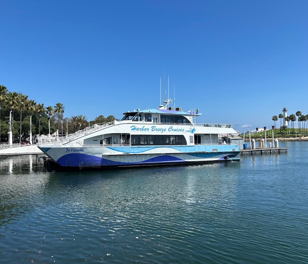 Guided Whale Watching Tour 3